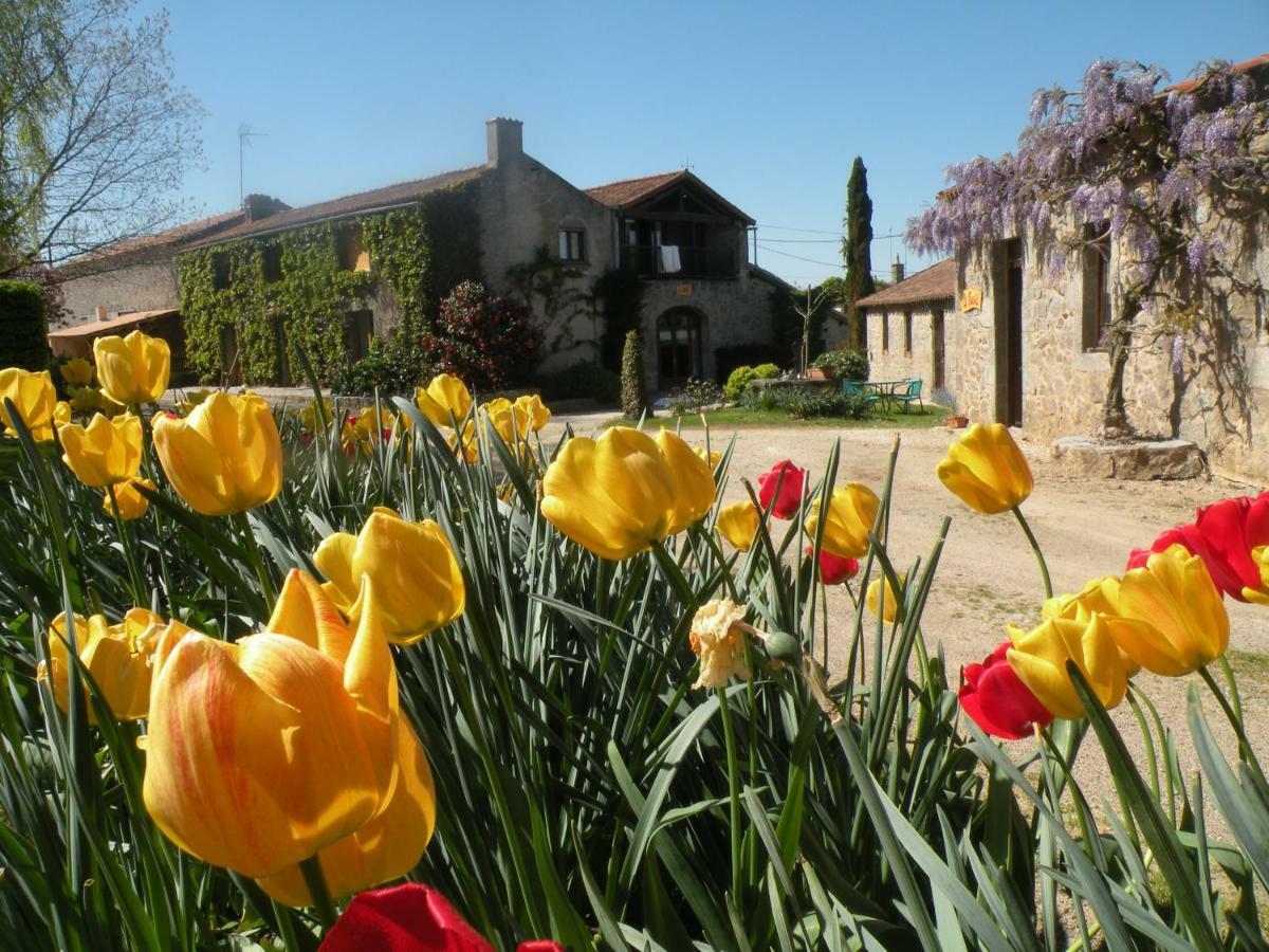 La Raymondiere Vernoux-en-Gâtine Exterior foto